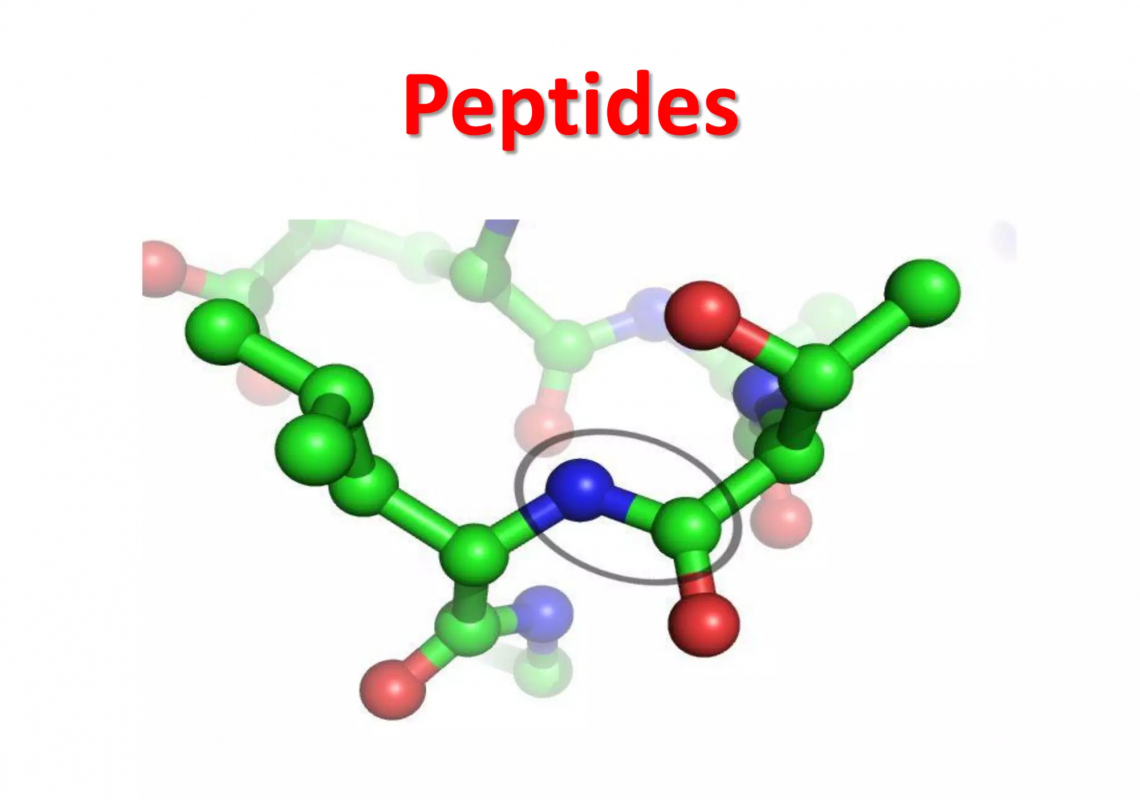 Peptides