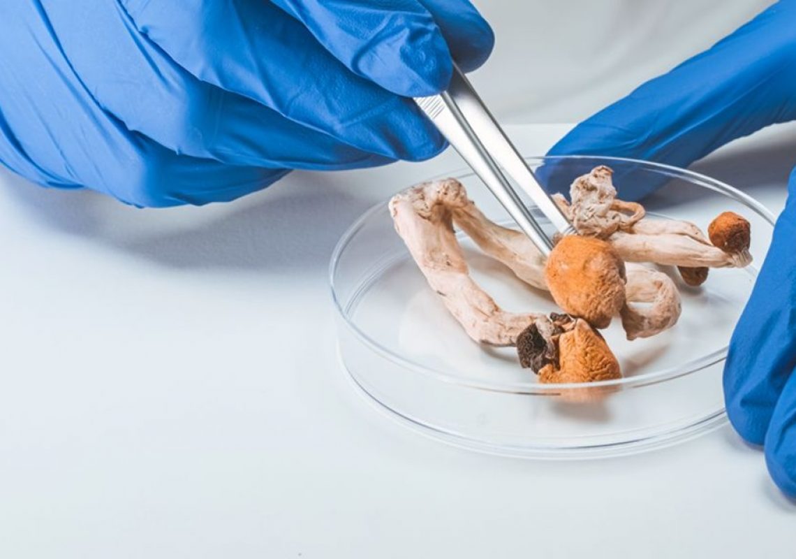 Psilocybin: A Groundbreaking Therapy for Treatment-Resistant Depression, MDD, and Anorexia Nervosa